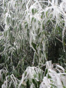 179855_1881744403697_3944058_n